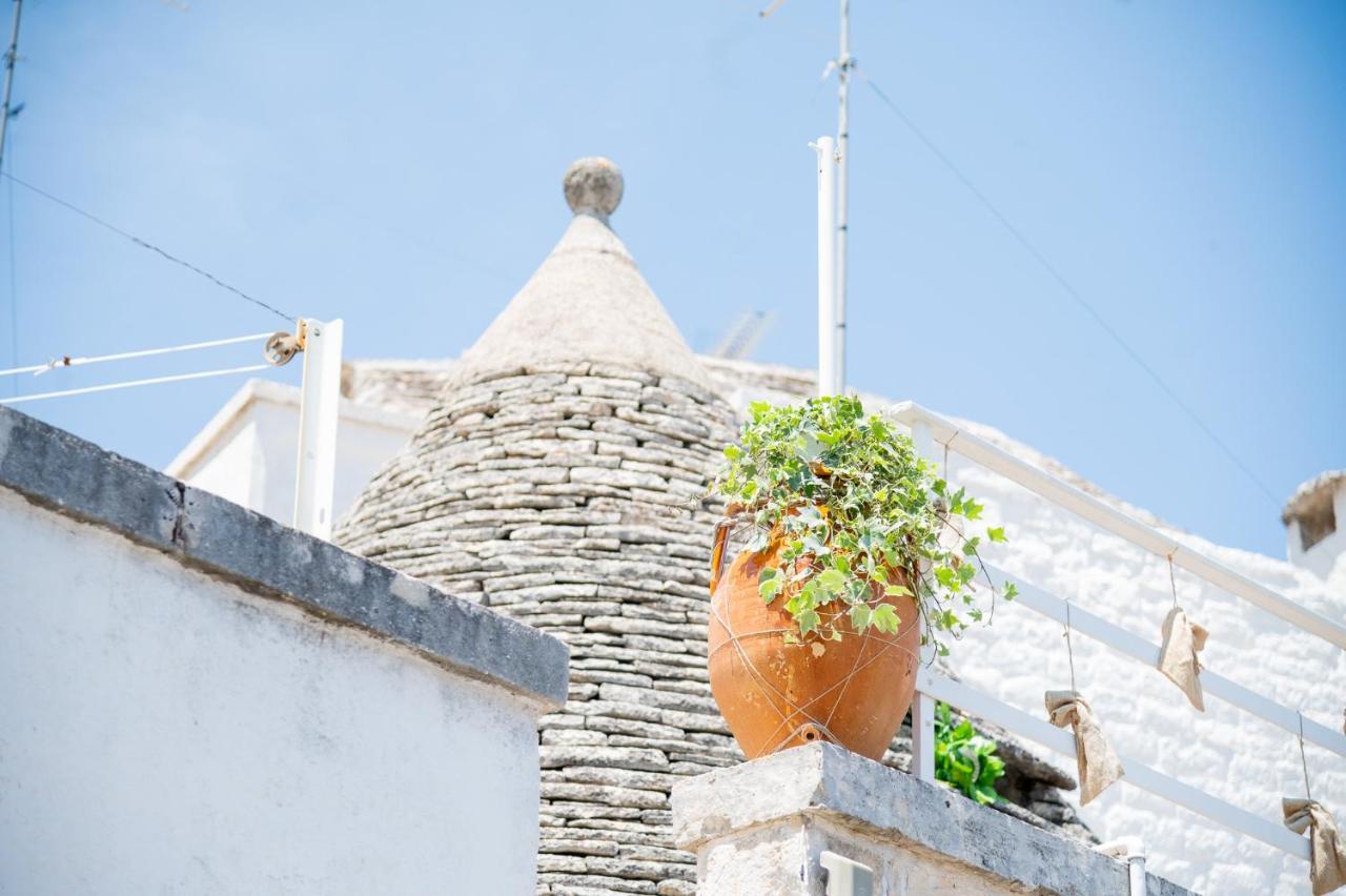 Trullo Dimora Zaccaria Διαμέρισμα Αλμπερομπέλο Εξωτερικό φωτογραφία